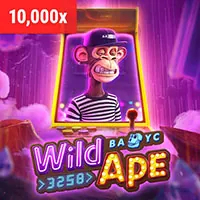 Cá cược Đá Gà 555win